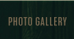 photo gallery